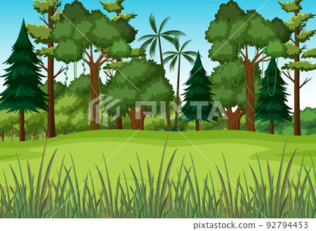 Scene with green grass in forest 92794453