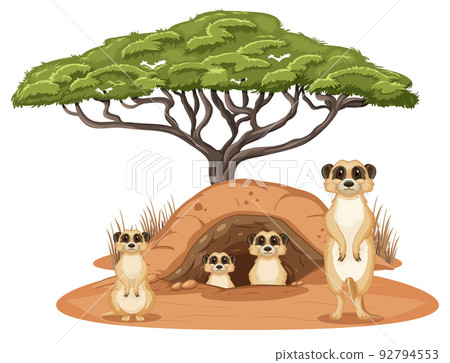 Group of meerkats with burrow on white background 92794553