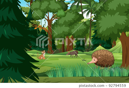 Forest scene with wild animals 92794559