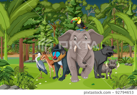 Forest scene with various wild animals Forest scene with various wild animals 92794653