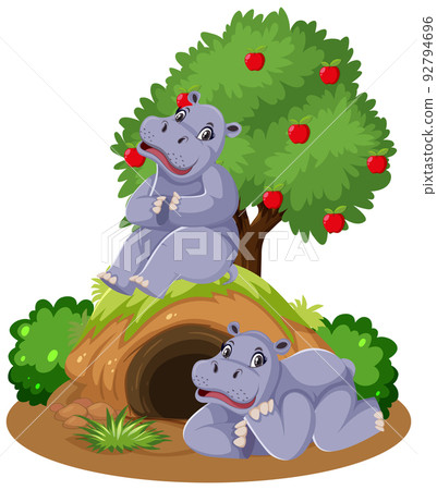 Two hippopotamus with burrow 92794696