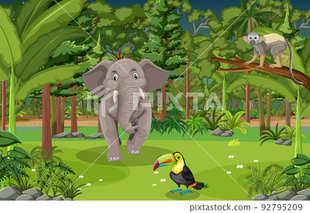 Forest scene with various wild animals 92795209