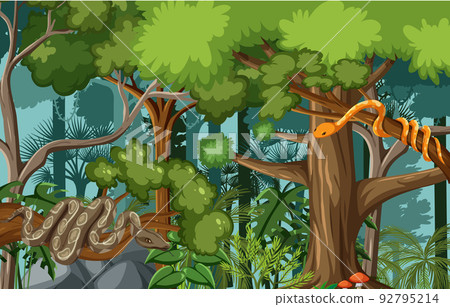 Beautiful snakes in the forest scene 92795214