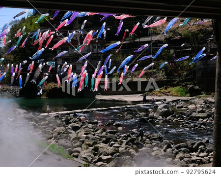 五彩繽紛的鯉魚旗飄揚在藤條上(熊本縣小國町菅立溫泉) 五彩繽紛的鯉魚旗飄揚在藤條上(熊本縣小國町菅立溫泉) 92795624