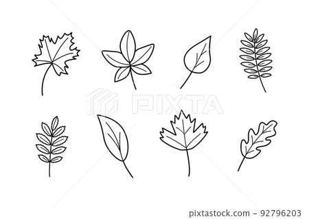Tree leaves, doodle set of leaves, maple oak viburnum aspen birch rowan Tree leaves, doodle set of leaves, maple oak viburnum aspen birch rowan 92796203