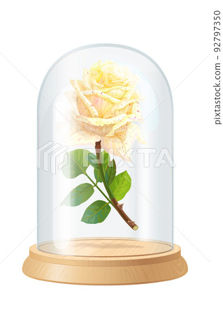 vector white rose, glass flask vector white rose, glass flask 92797350