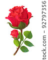 vector realistic rose flower art 92797356