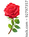 vector realistic rose flower art 92797357