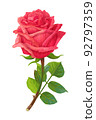 vector realistic rose flower art 92797359
