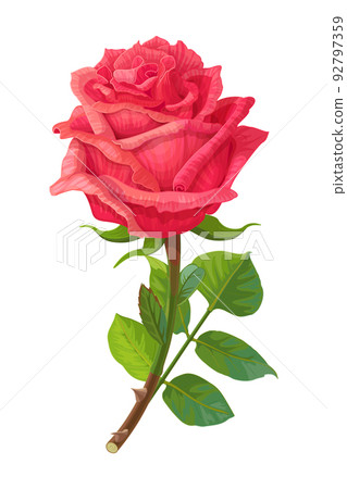 vector realistic rose flower art - Stock Illustration [92797359] - PIXTA