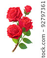 vector realistic rose flower art 92797361