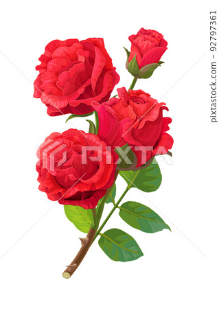 vector realistic rose flower art - Stock Illustration [92797361] - PIXTA