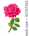 vector realistic rose flower art 92797362