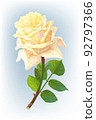 vector realistic rose flower art 92797366
