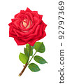 vector realistic rose flower art 92797369