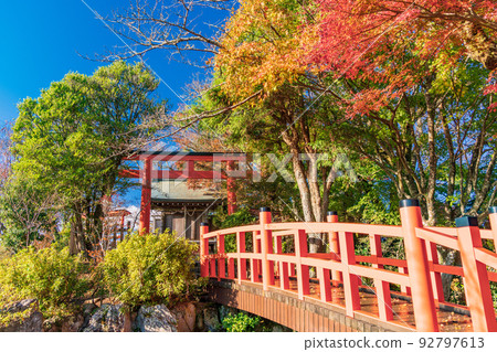 (Shizuoka Prefecture) Izu Panorama Park and Katsuragi Shrine with beautiful autumn leaves (Shizuoka Prefecture) Izu Panorama Park and Katsuragi Shrine with beautiful autumn leaves 92797613