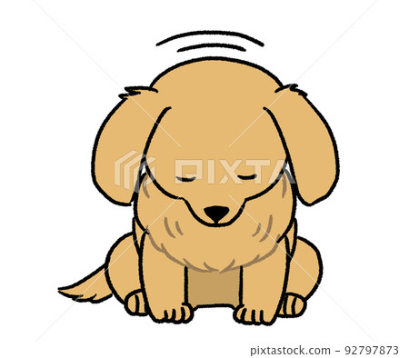 cream colored dachshund bowing cream colored dachshund bowing 92797873