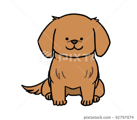 sitting brown dachshund 92797874