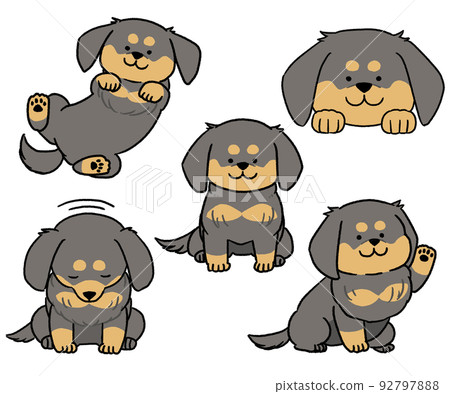 黑色臘腸犬套裝 92797888