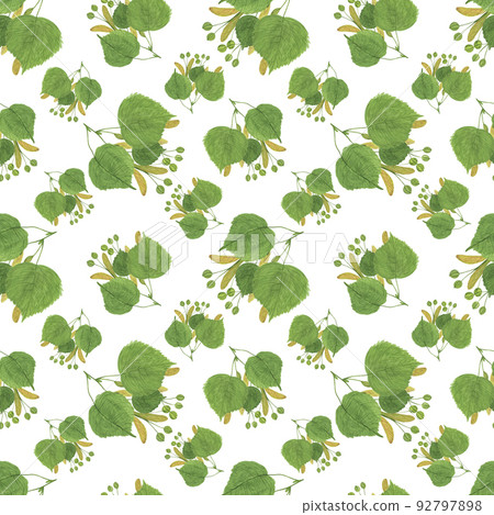 Linden tree seamless pattern with seeds, leaves, branch, honey plant watercolor hand drawn floral illustration, foliage, greenery repeat ornament for textile, home decor 92797898