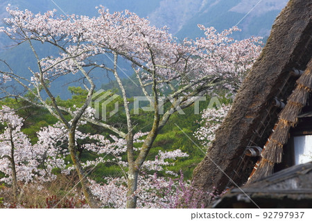 Gero Hot Spring Village Gero Hot Spring Village 92797937