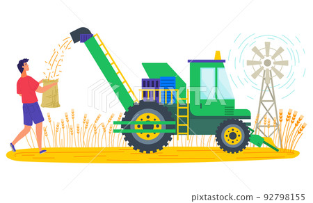 Person Working on Wheat Plantation Harvesting 92798155