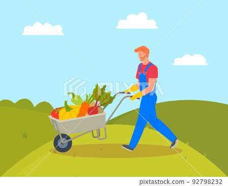 Farming Man with Trolley Loaded with Pumpkins Farming Man with Trolley Loaded with Pumpkins 92798232