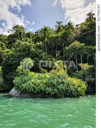 Tropical coast in Brazil Tropical coast in Brazil 92798297