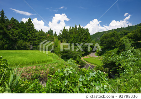 山中的稻田,綠意環繞的原始景觀 山中的稻田,綠意環繞的原始景觀 92798336