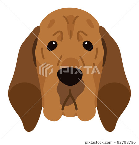 簡單可愛的尋血獵犬正面圖解 無主線 92798780