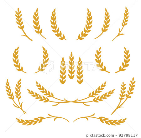 wheat stalks, barley and rye bunch set silhouettes 92799117