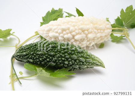 White and green bitter gourd or bitter melon with vine isolated on white background White and green bitter gourd or bitter melon with vine isolated on white background 92799131