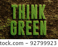 Think Green Grass Dirt 3D Render 92799923
