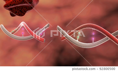 Dna Disorder. Strand. Science Chemistry And Medical Concept 92800500