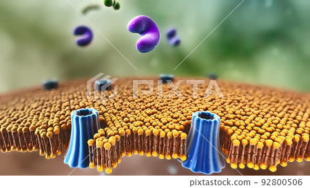 Diabetes caused by the glucose balance of the pancreas Diabetes caused by the glucose balance of the pancreas 92800506
