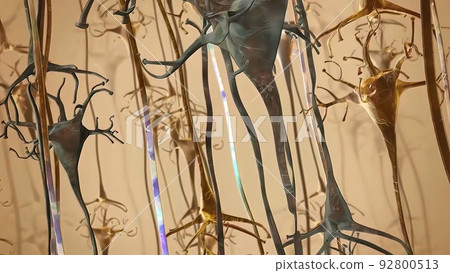 Diffuse axonal injury; is caused by a combination of acceleration, deceleration and contact forces. Diffuse axonal injury; is caused by a combination of acceleration, deceleration and contact forces. 92800513