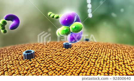 Diabetes caused by the glucose balance of the pancreas 92800640