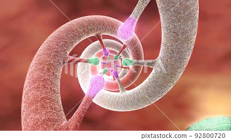 DNA sequence view 3d medical 92800720