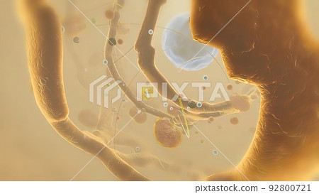 Journey to the DNA cell nucleus Journey to the DNA cell nucleus 92800721
