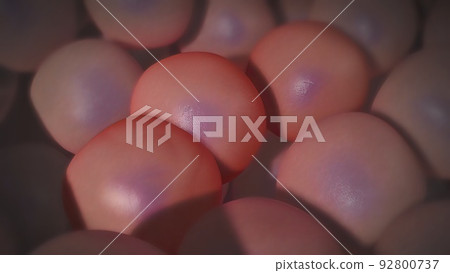Tumors in pancreatic cancer usually arise from the epithelium of the pancreatic duct. 92800737