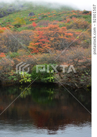 Nasu Mountain Climbing, Numahara Route, Tochigi Prefecture Nasu Mountain Climbing, Numahara Route, Tochigi Prefecture 92801507