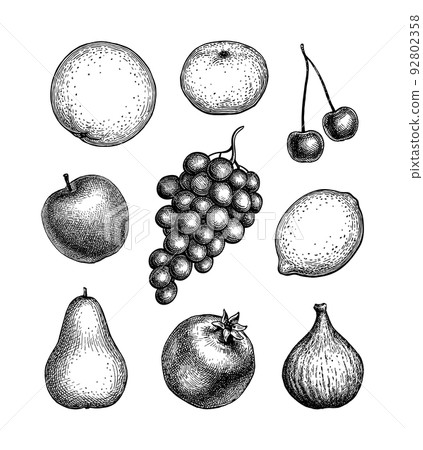 Fruits ink sketches. Fruits ink sketches. 92802358
