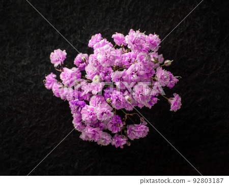 Delicate flower on a black background. Macro shoot. 92803187
