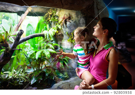 Family watching snake in zoo terrarium. 92803938
