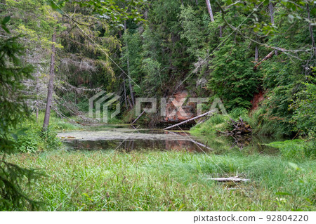 Mirror cliffs and an old river channel in a very beautiful forest in Cirulu nature trails, Latvia 92804220