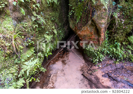 Natural spring with mineral drinking water in the wild with stones overgrown with moss. 92804222