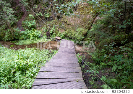 Direct road for tourists made of boards in the forest. plank forest trail 92804223