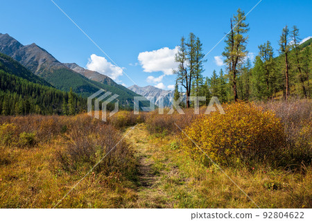 Hiking path through autumn mountains. Trekking mountain trail. Atmospheric golden alpine landscape with yellow grass footpath in highlands. Pathway uphill. Way up mountainside. Hiking path through autumn mountains. Trekking mountain trail. Atmospheric golden alpine landscape with yellow grass footpath in highlands. Pathway uphill. Way up mountainside. 92804622