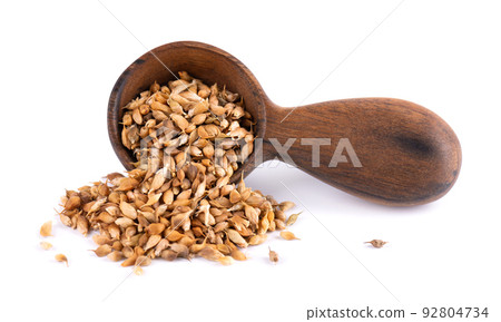 Utsho suneli seeds in wooden spoon, isolated on white background. Trigonella caerulea or blue fenugreek. Utsho suneli seeds in wooden spoon, isolated on white background. Trigonella caerulea or blue fenugreek. 92804734