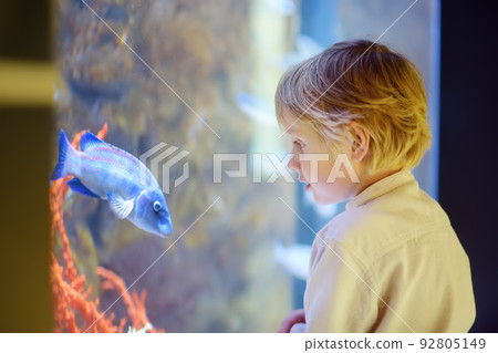 Little boy watches fishes in aquarium. Child exploring nature. Elementary student is on excursion in seaquarium. Little boy watches fishes in aquarium. Child exploring nature. Elementary student is on excursion in seaquarium. 92805149